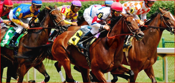 Why Is It Important To Research Quality Sydney Racing Tips Before Betting?