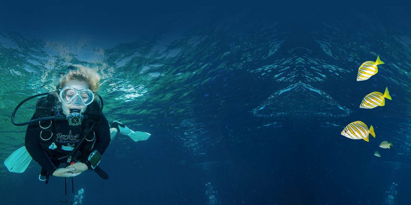 Why Diving is Essential for All of Us