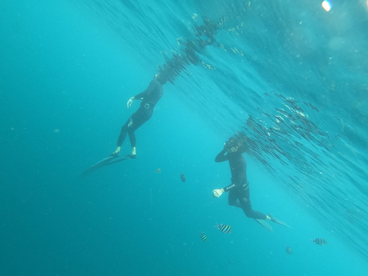 freediving tours Bali