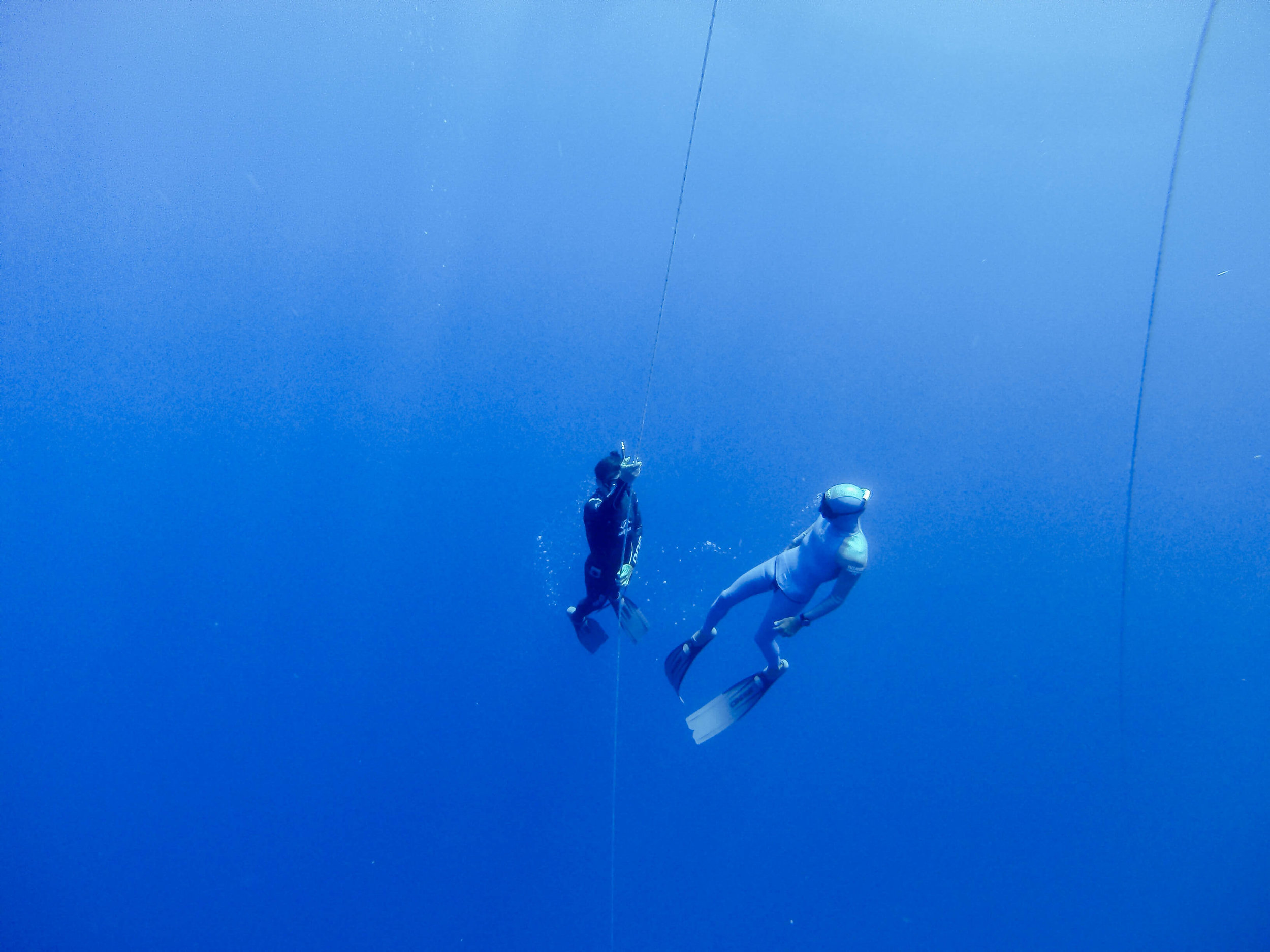 What Is Freediving? How To Learn It?