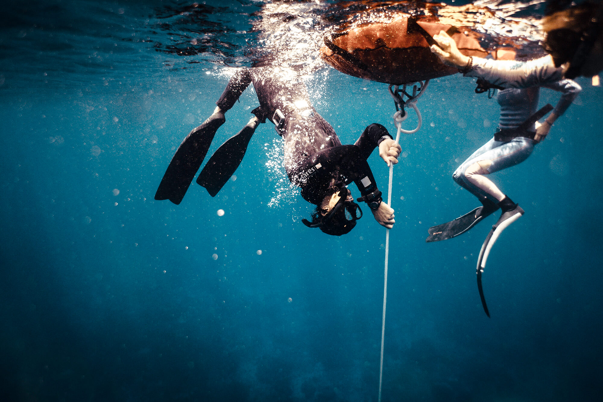 freediving tours Bali