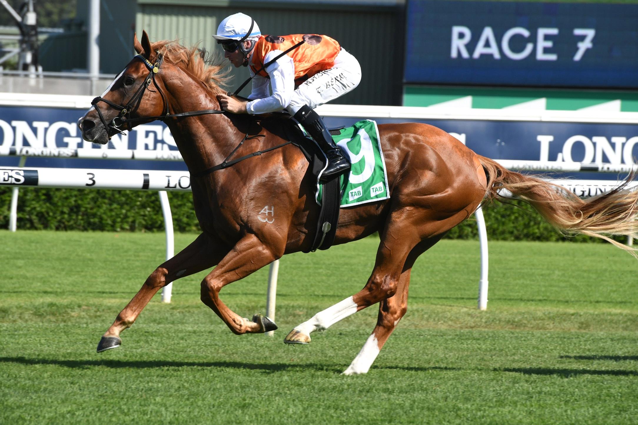 best horse racing tips