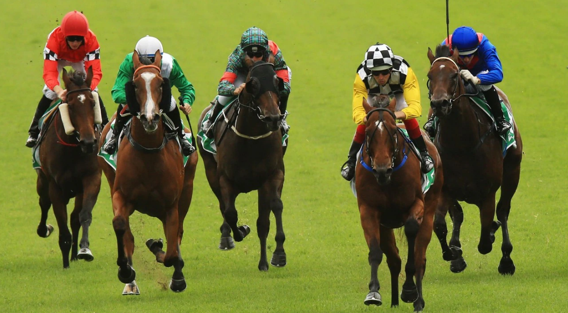Consider Getting Professional Horse Racing Tips To Win The Race In Melbourne
