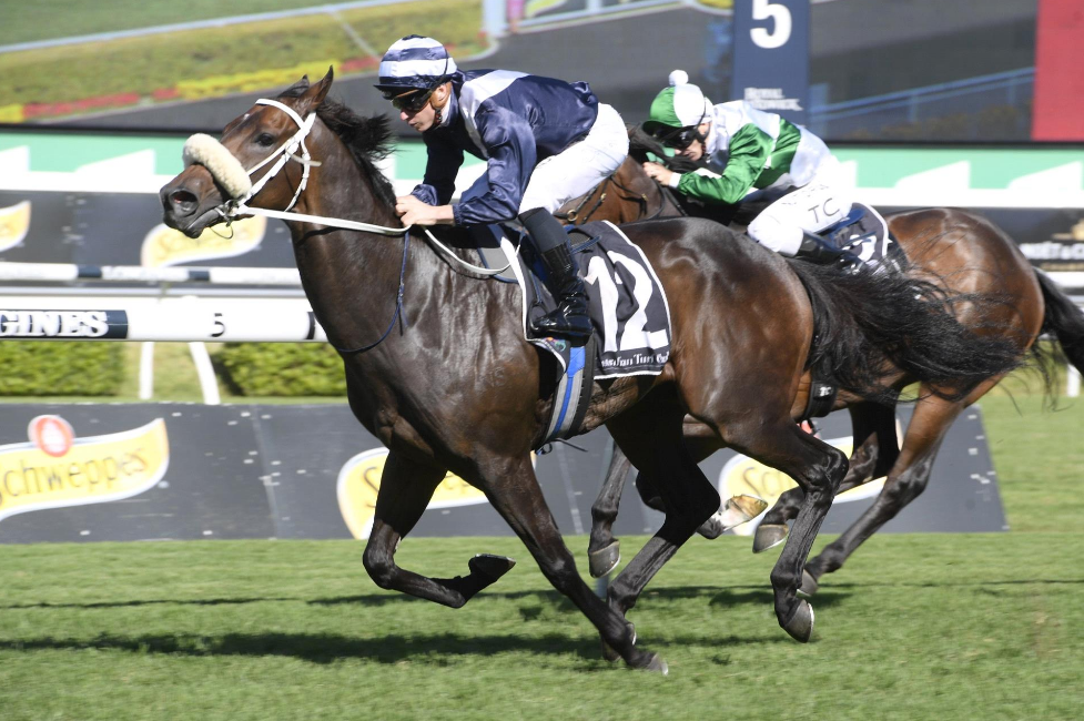 Melbourne Horse Racing Tips – Ways to Win Betting On Horses