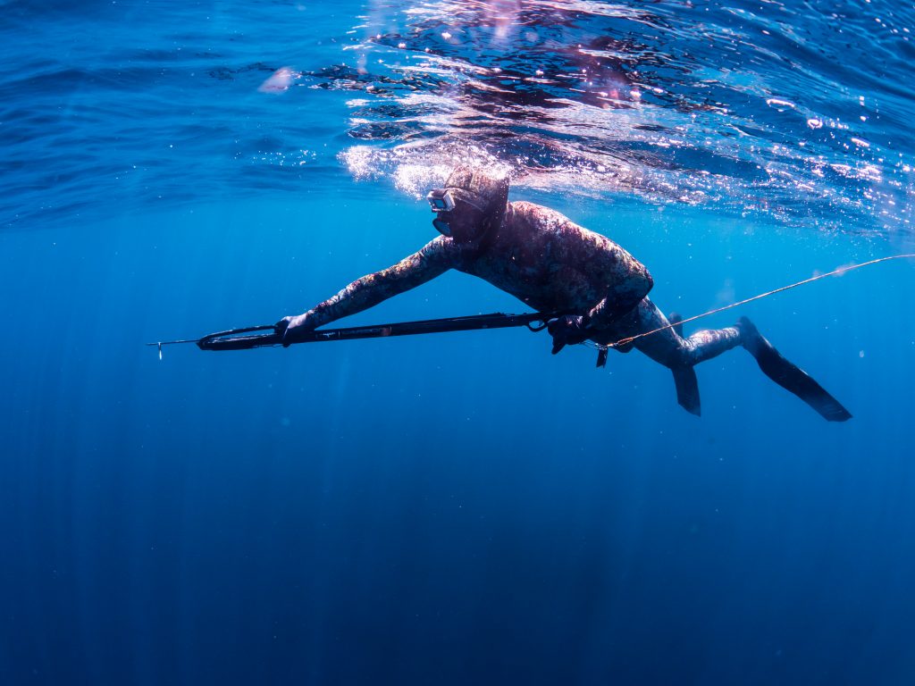 3 Ingenious Tips For Freedive Trips Bali To Keep Your Safety At First Place