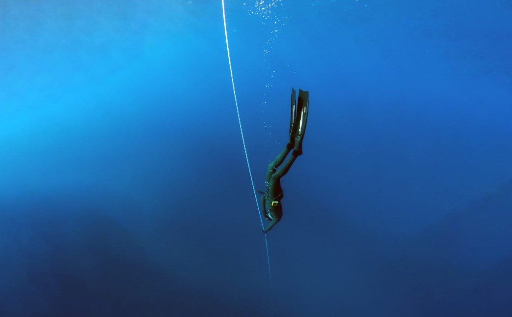 What Equipment Do You Need For Molchanovs Freediving Courses?