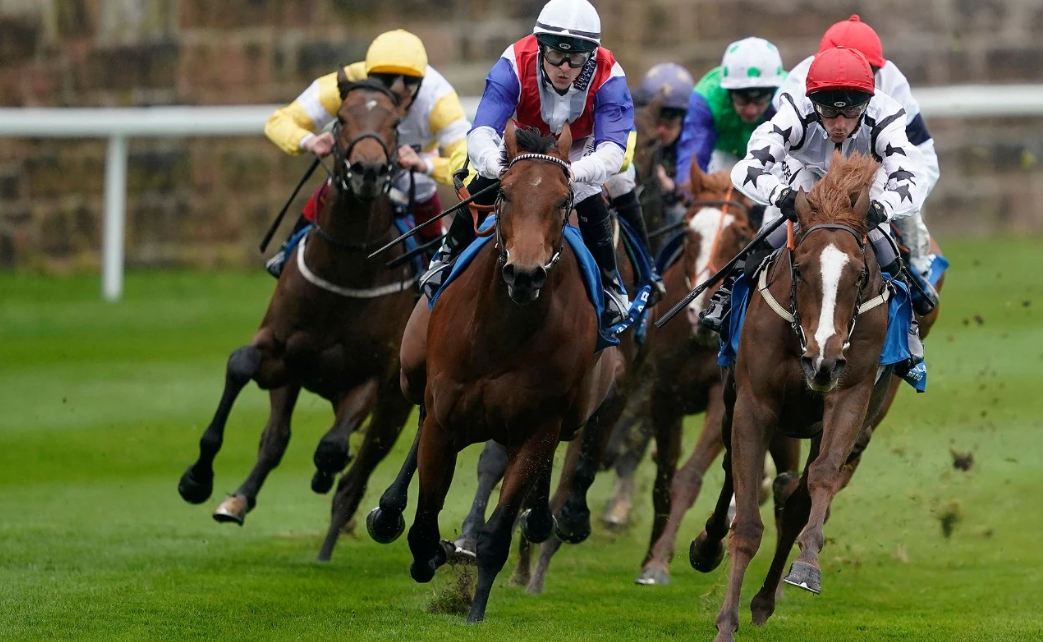 What Horse Racing Betting Tips Can take You to the next level?