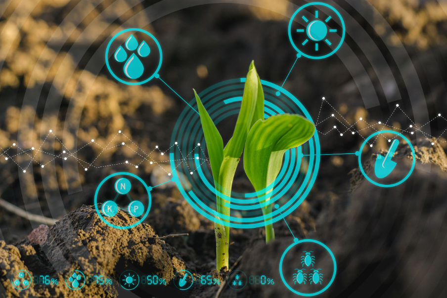 Logistic Management Systems – Key To Profitability