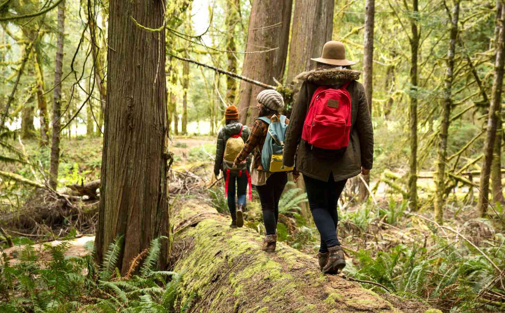 Women's walking holidays