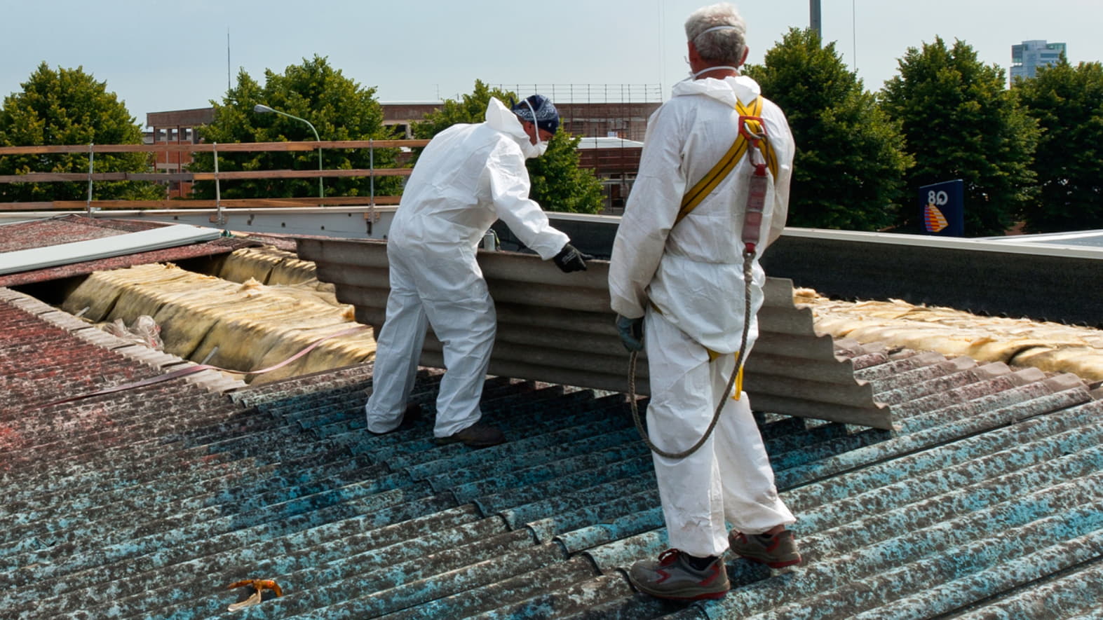 Why a Friable Asbestos Removal Course is Crucial for Your Safety